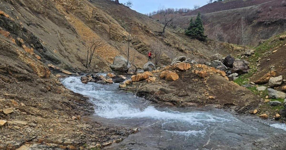 Diyarbakır Kulp'ta kayıp Salih Ertaş için arama çalışmaları sürüyor