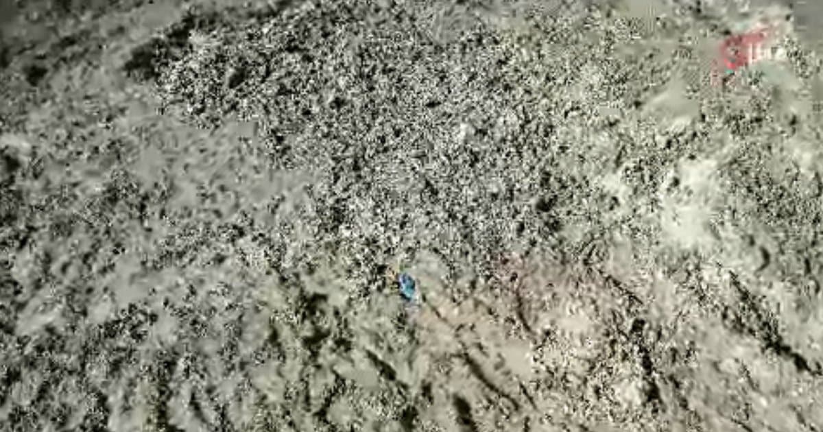 İstanbul'da Çinli iş insanı cinayeti