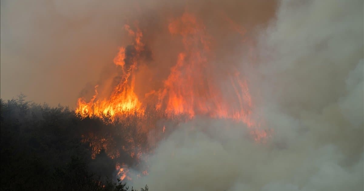 Güney Kore'de 3 gündür süren orman yangınları 190 hektar alanı etkiledi