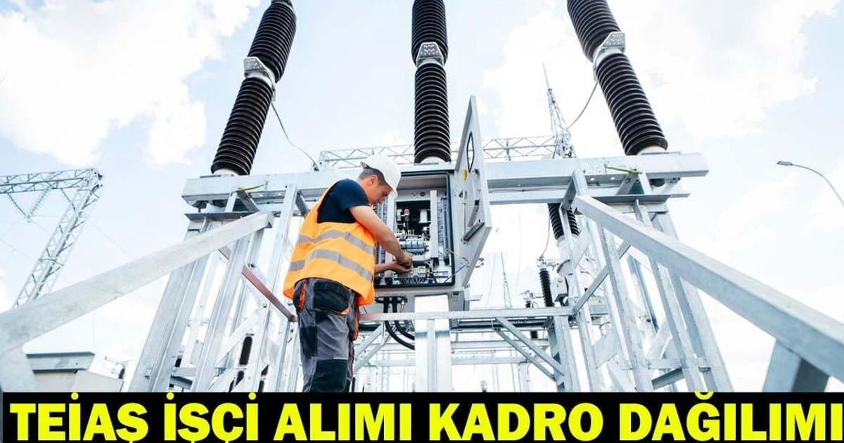 TEİAŞ 402 Sürekli İşçi Alımı Başvuruları ve Kadro Detayları
