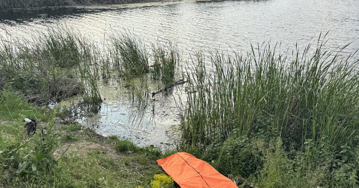 Sakarya'da genç kadının gölette cansız bedeni bulundu