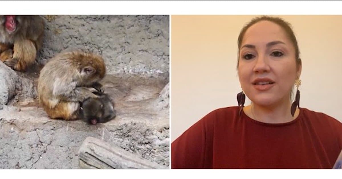 Punch'ın Psikolojik Etkileri: Klinik Psikolog Dr. Öksüz'ün Değerlendirmesi