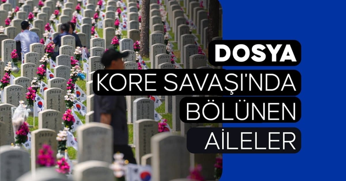Kore Savaşı: Bölünen Aileler ve Yeniden Birleşme Mücadelesi