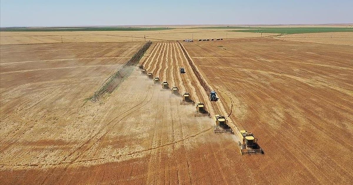 Toprağın Korunması için Arazi Kullanım Planları Hazırlanacak