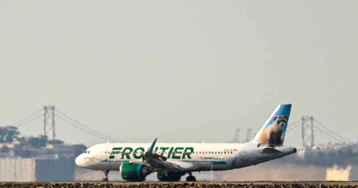 ABD'de yolcu uçağı piste çıkan kişiye çarparak ölümüne neden oldu