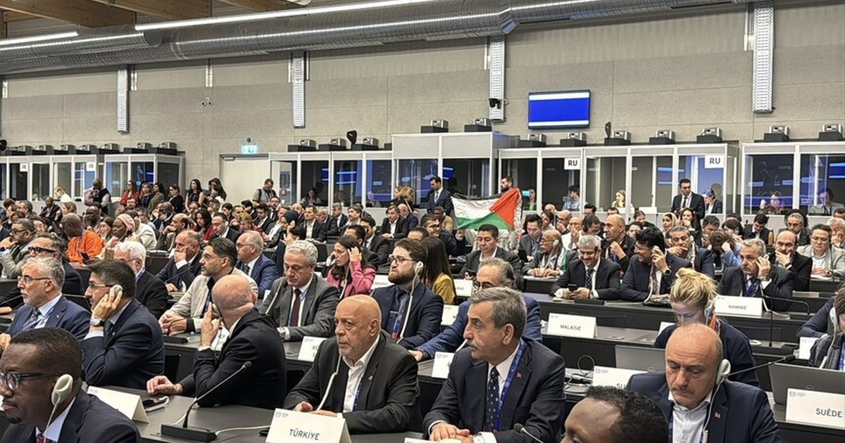 İsrailli Yetkili BM Konferansında Protestolar Nedeniyle Konuşmasını Tamamlayamadı