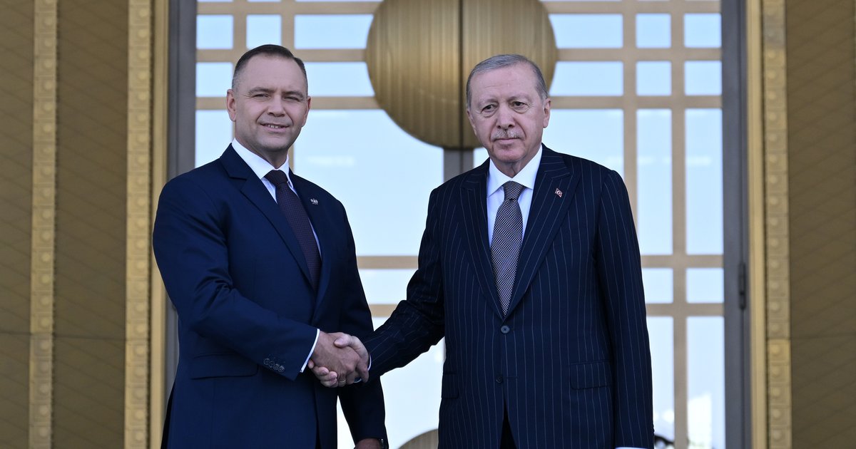 Polonya Cumhurbaşkanı Ankara'da: NATO Zirvesi Gündemde