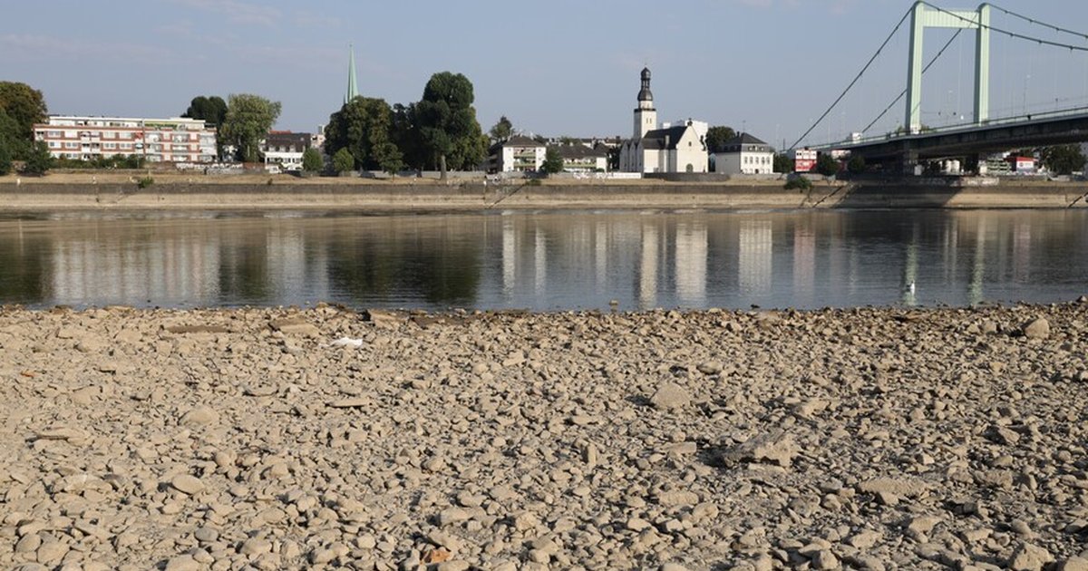 Almanya'da kuraklık nedeniyle Ren Nehri'nde gemi karaya oturdu