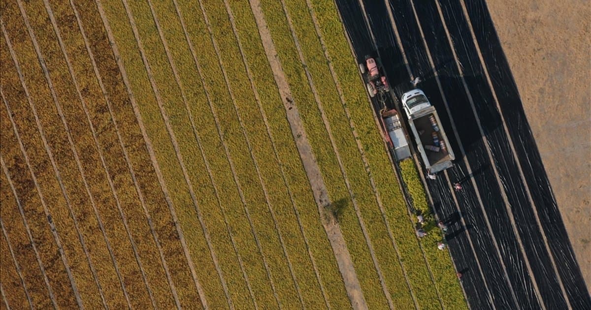 Tarıma Hazine destekli krediler