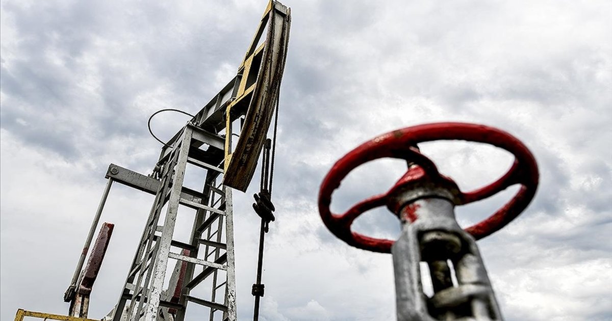Rusya enerji tedarikinde önceliği komşulara veriyor