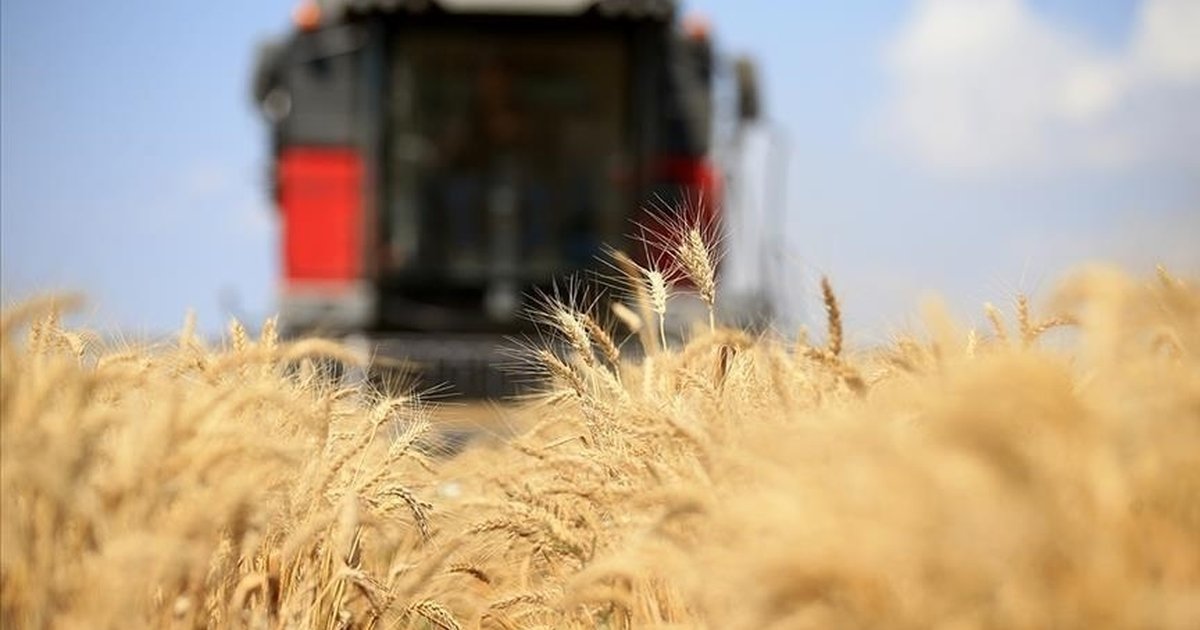 Orta Doğu gerilimi tarım emtia fiyatlarını etkiliyor