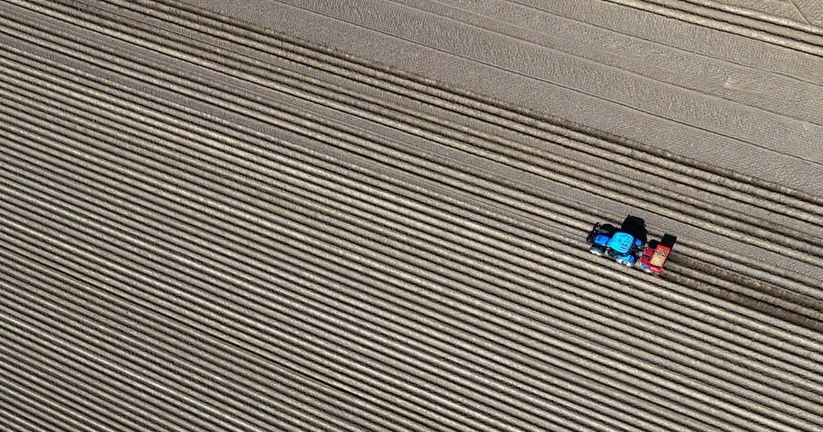 Körfez'deki savaşın mart ayında tarım sektörüne etkileri