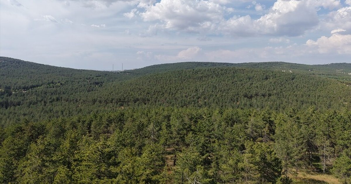 Manisa ve Gaziantep'te iki yeni tabiat parkı ilan edildi