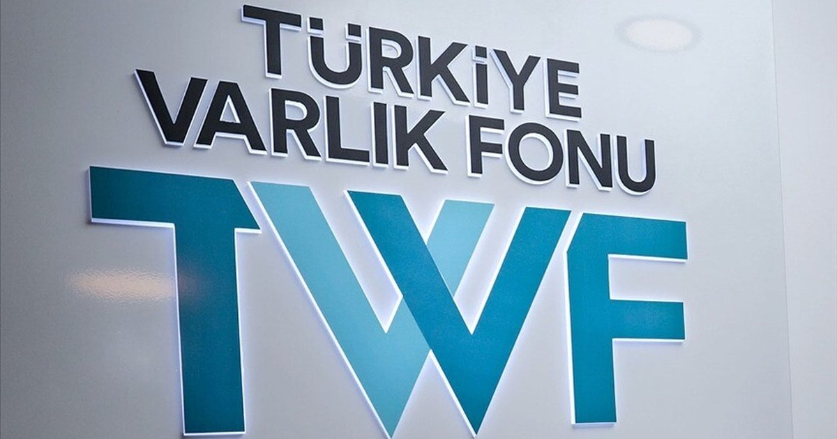 Türkiye Varlık Fonu, GSR puanını en çok artıran fonlar arasında
