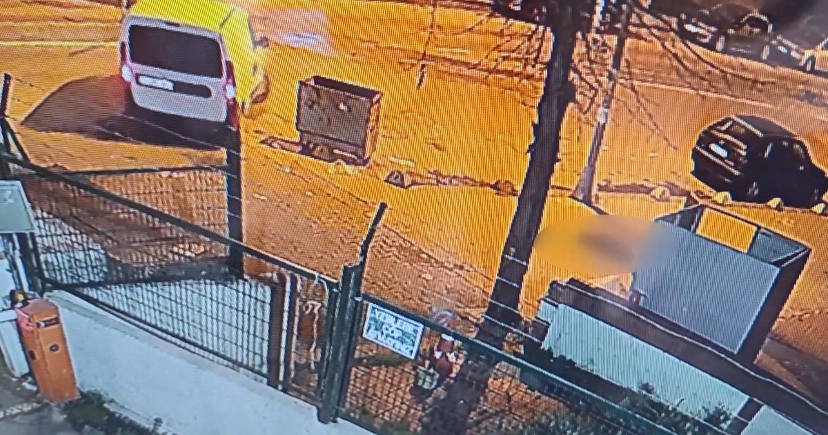 Kaldırımda yatan köpeği ezip yollarına devam ettiler