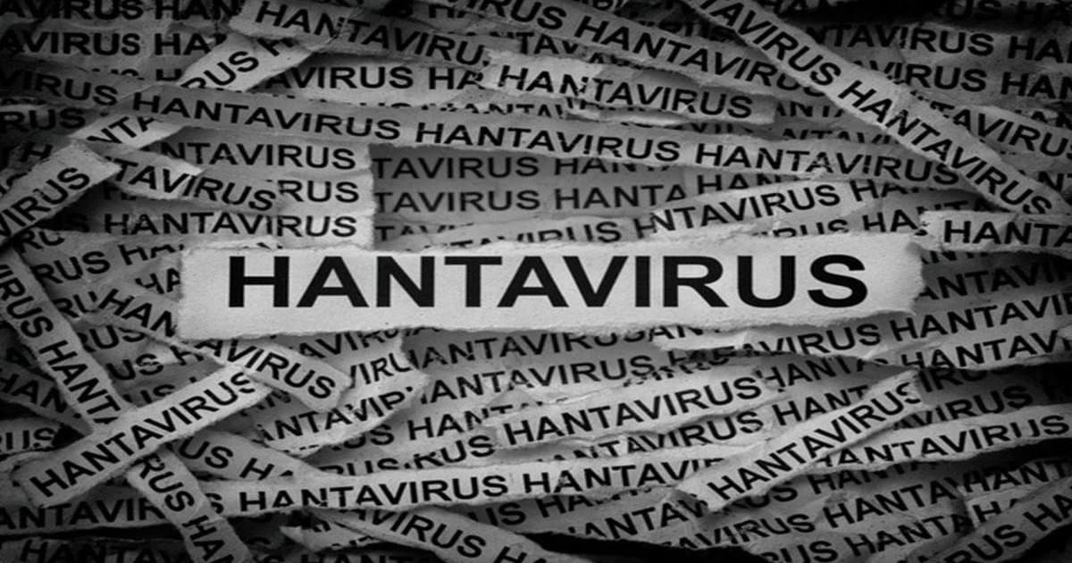 Hantavirüs belirtileri ve bulaşma yolları