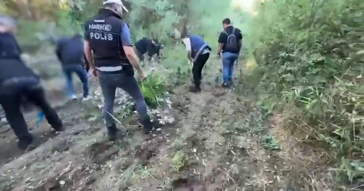 Hevsel Bahçeleri'ne uyuşturucu operasyonu