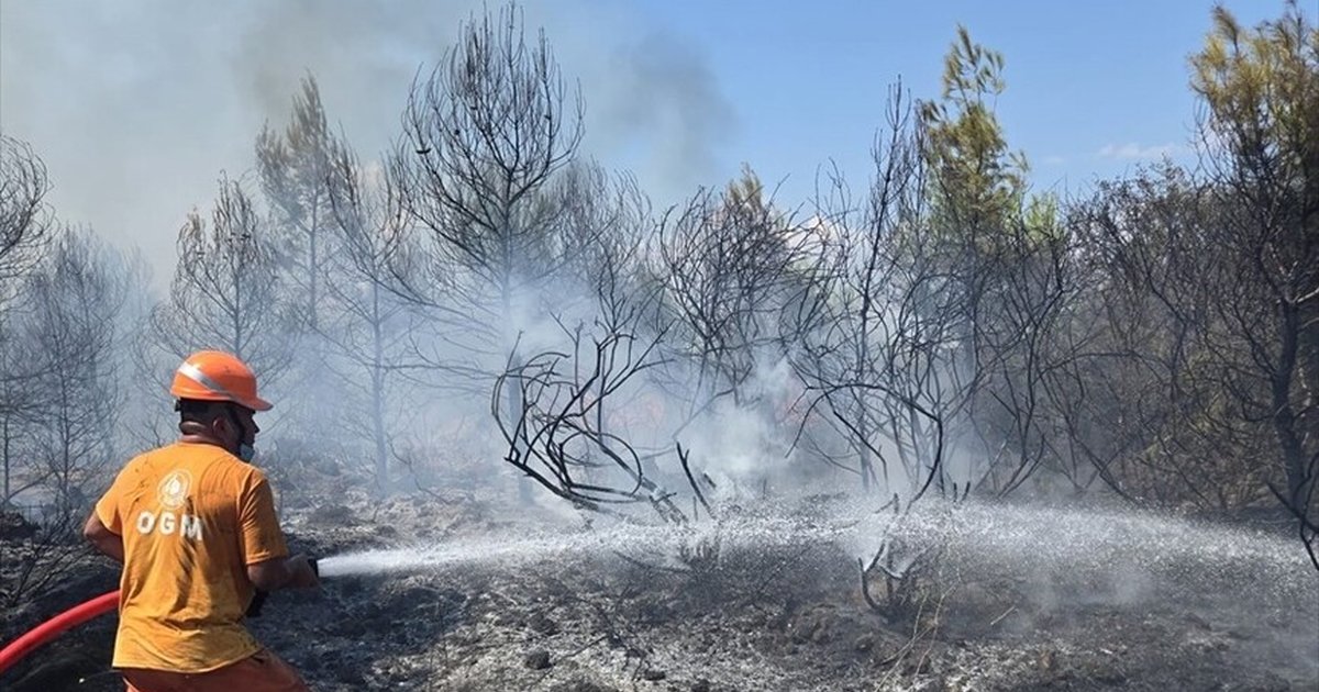 Antalya ve Balıkesir'de orman yangınları etkili oluyor