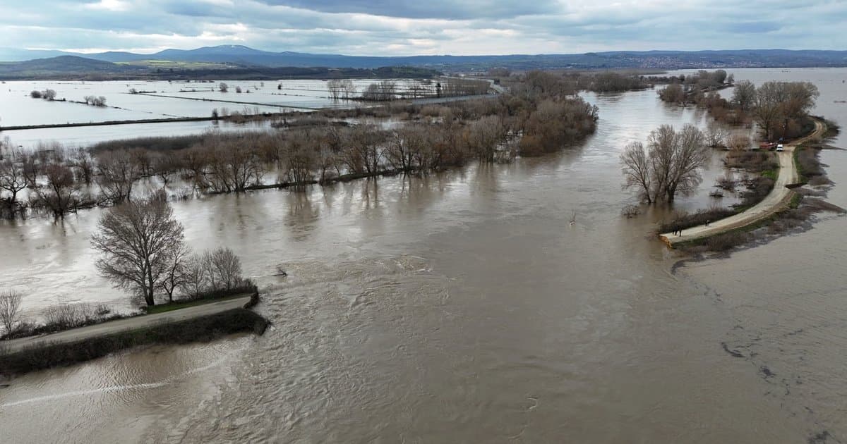 Meriç Nehri'nde su seviyesi kritik seviyeye yakın
