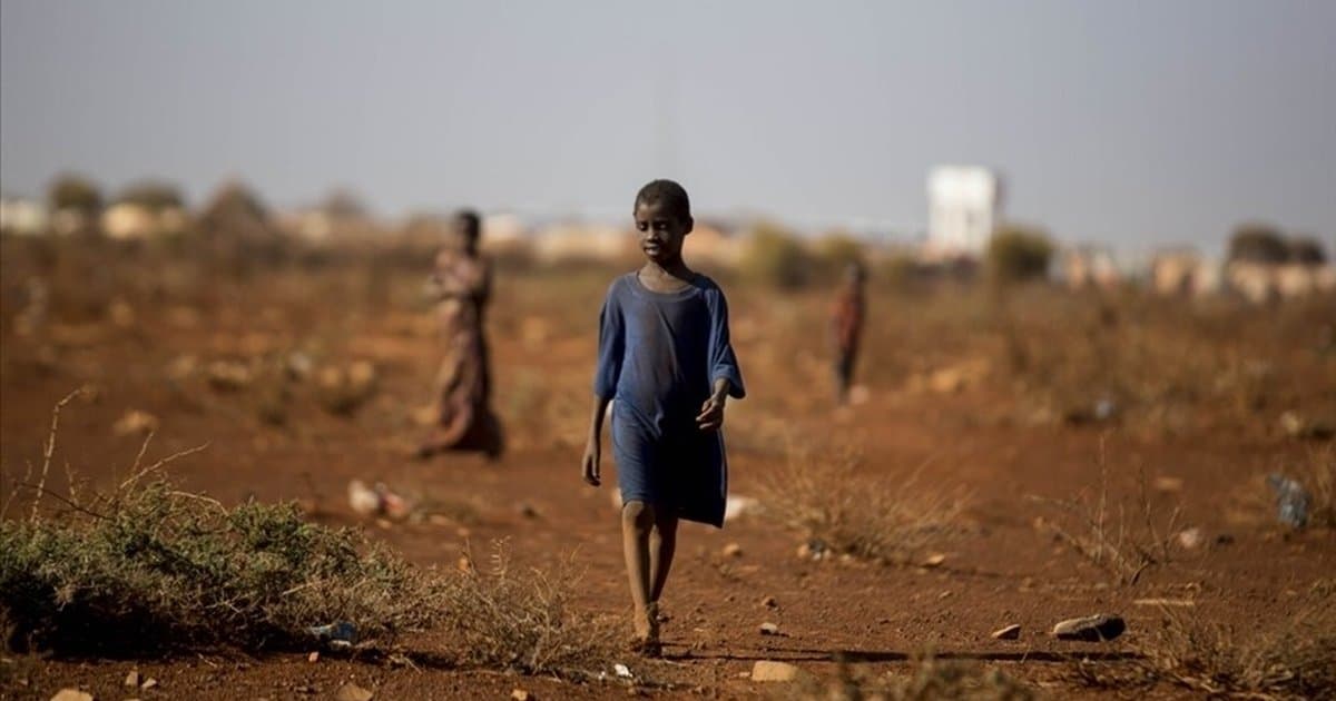 Somali'de 6,5 milyon kişi gıda güvensizliğiyle karşı karşıya
