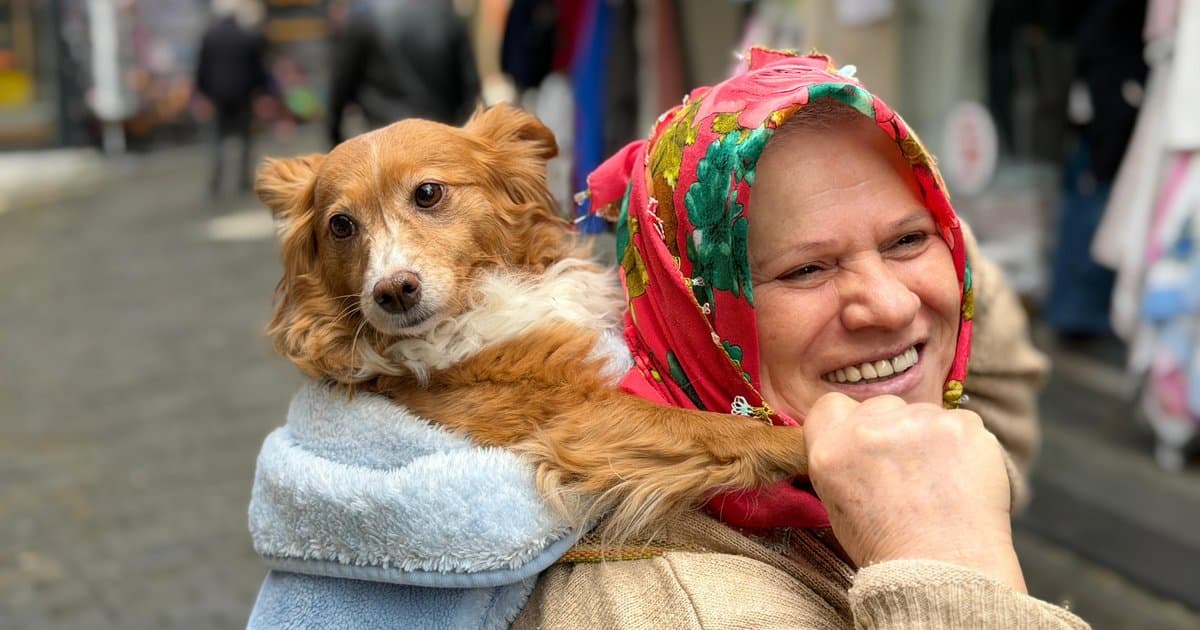 Trabzon'da kadının köpeği sırtında taşıması