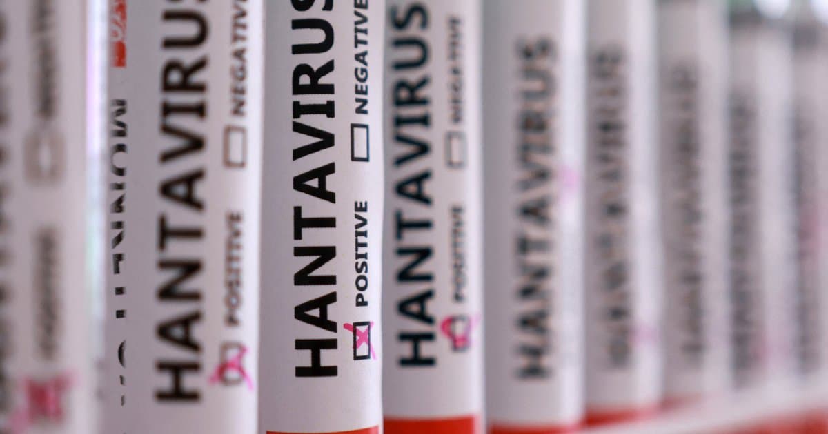 Türkiye'de hantavirüs vakası var mı?