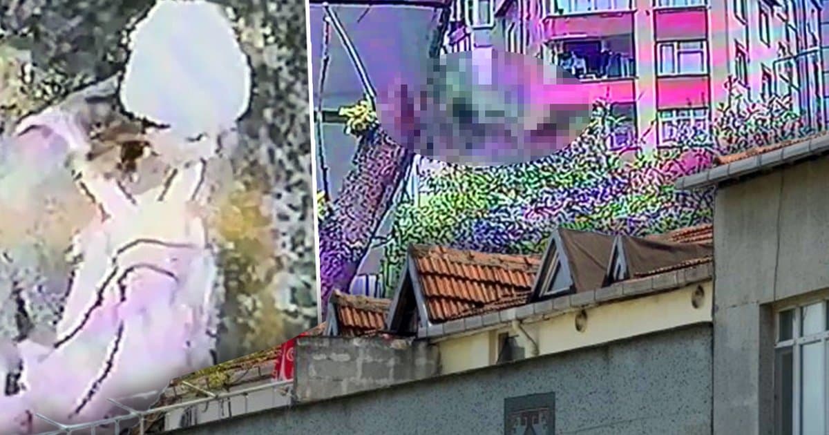 Doktor Alime Özge K. terasdan düştü, yaşam savaşı veriyor