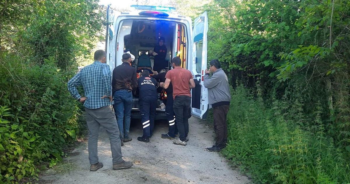 Bal Arısı Sokması Hastanelik Etti