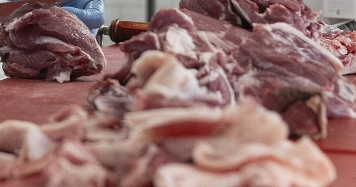Kurban Etinin Sağlıklı Muhafazası İçin Soğuk Zincir Vurgusu