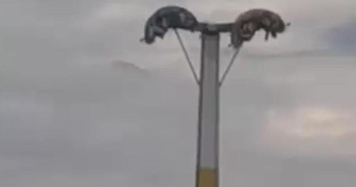 Bayram Eğlencesi Kabusa Döndü: Lunaparkta Mahsur Kaldılar