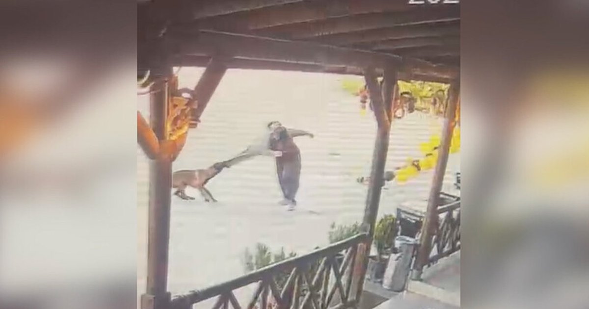 Afyonkarahisar'da köpek saldırısında kadın taburcu edildi