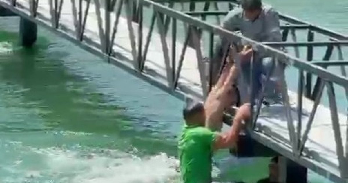 Sulama Kanalında Boğulma Tehlikesi Geçirdiler