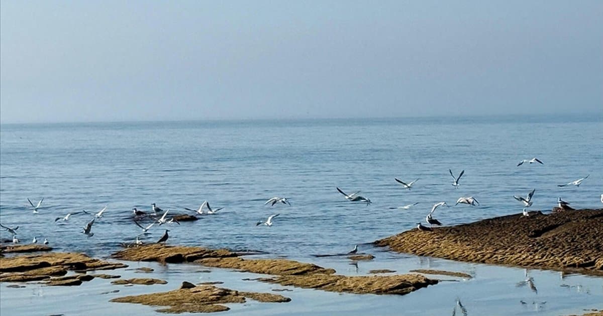 Kazakistan Hazar Denizi için kaynak ayırdı