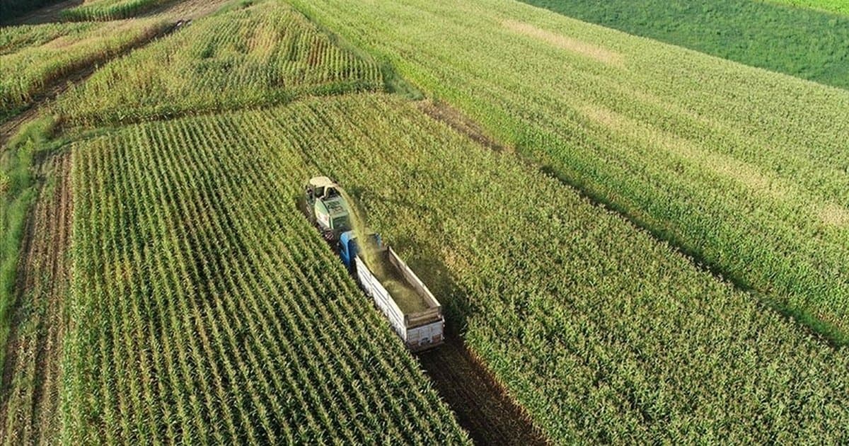 Kırsal kalkınmaya 65,5 milyar liralık yatırım