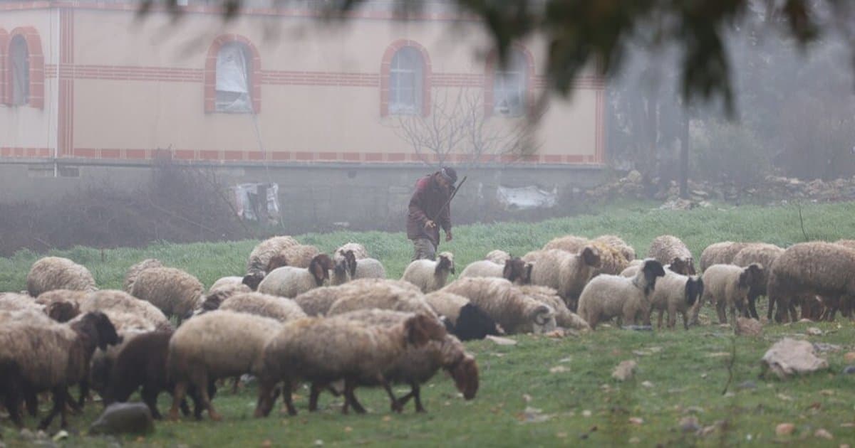 İsrail ordusu Suriye'nin Kuneytra kırsalına baskın düzenledi