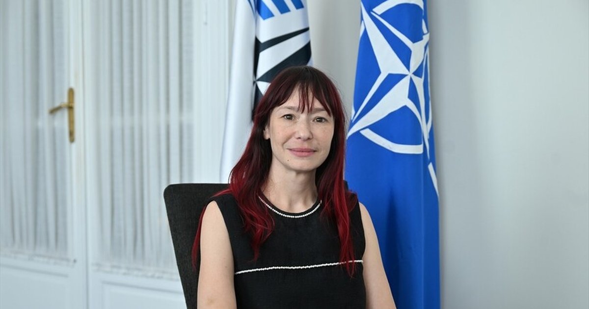 NATO PA Genel Sekreteri Berti, Türkiye'nin güçlü müttefik olduğunu vurguladı