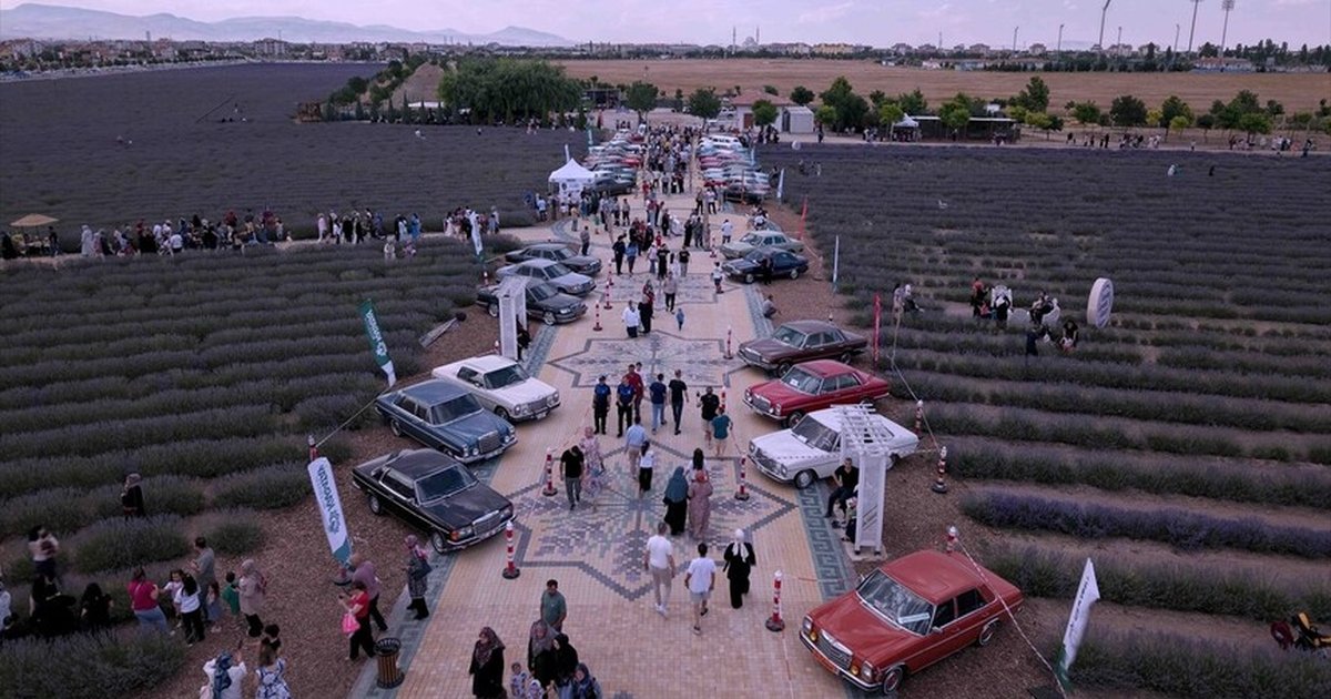 Karatay'da Lavanta Festivali Başladı