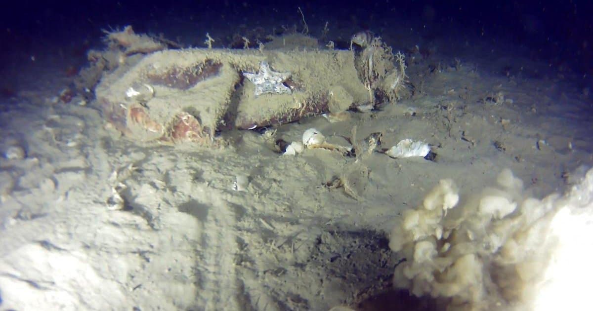 Marmara Denizi'nde 51 yıllık sır perdesi