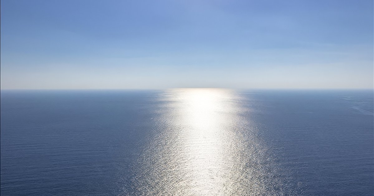 MH370 Arama Çalışmaları Sona Erdi