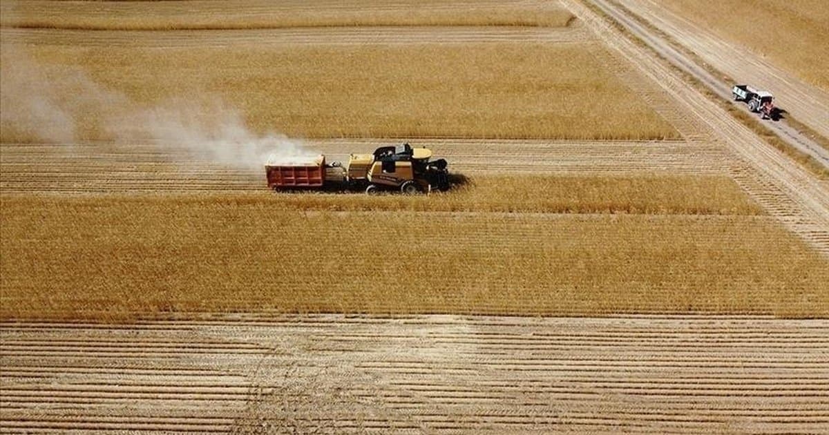 Çiftçilere 8,7 milyar lira destekleme ödemesi bugün yapılacak