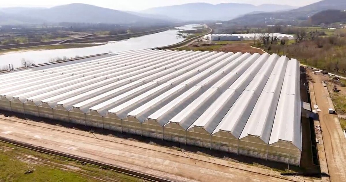 Zonguldak'ta Sera Organize Tarım Bölgesi Üretime Başladı