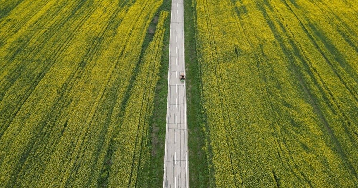 Trakya'da yağışlar tarım verimini artırdı