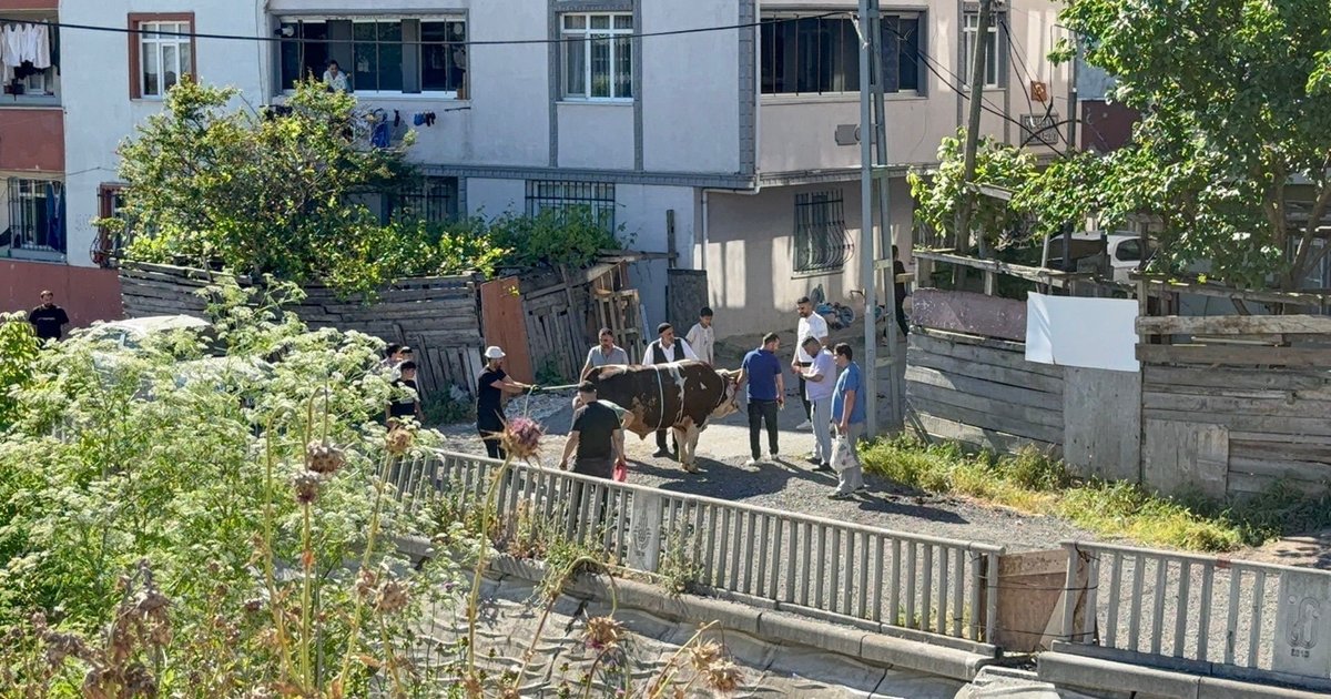 Esenyurt'ta Kaçak Kurban Kesimine Ceza