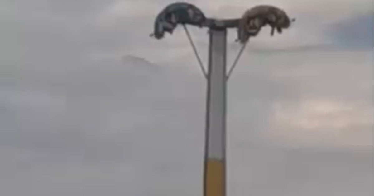 İzmir'de Lunapark Kabusu: Metrelerce Yüksekte Baş Aşağı Kaldılar