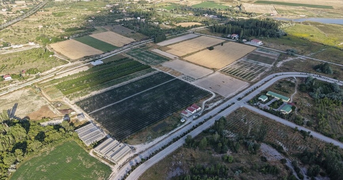 Atık sular yeşil alanlarda kullanılıyor