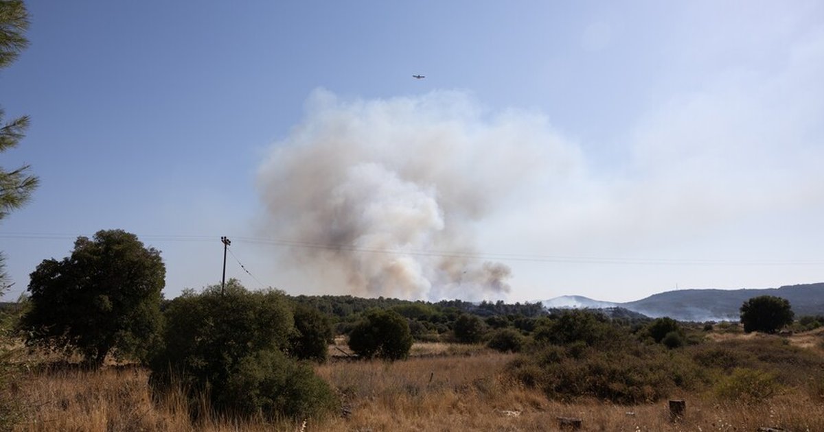Yunanistan'da Tesalya ve Korint bölgelerinde orman yangını