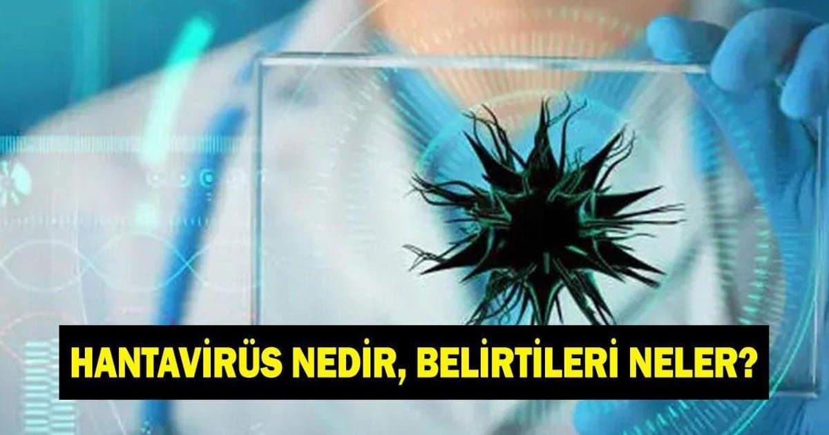 Hantavirüs nedir, belirtileri neler? Korunma yolları