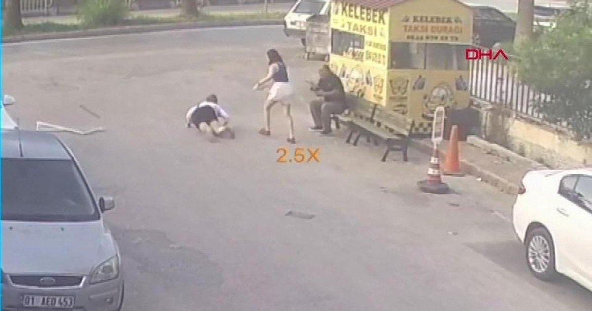 Adana'da kadının başına sineklik düştü