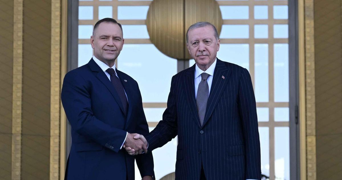 Erdoğan, Polonya Cumhurbaşkanı Nawrocki'yi kabul etti