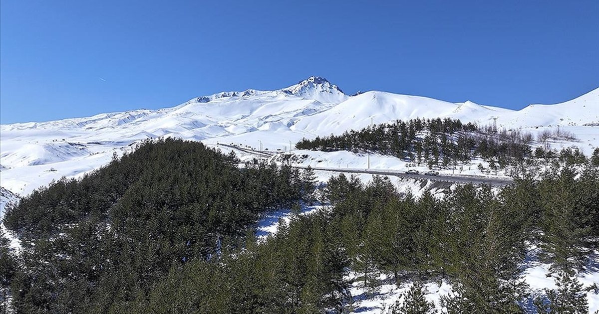 Erciyes Dağı'na 7 milyon fidan dikildi